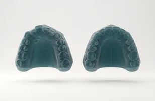 Modelos digitales de las dos arcadas